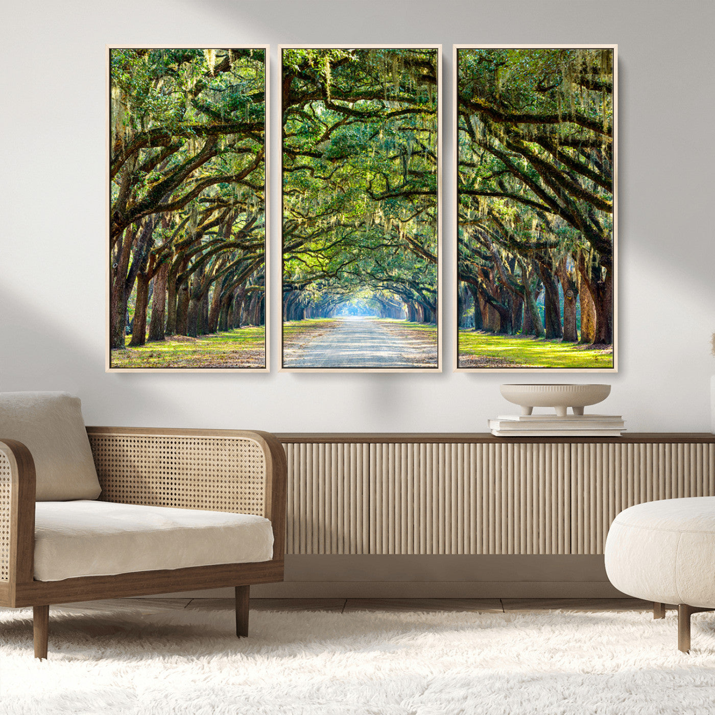 MGV-FC-48X32-3P - Wormsloe State Plantation Driveway Wall Art Canvas Print