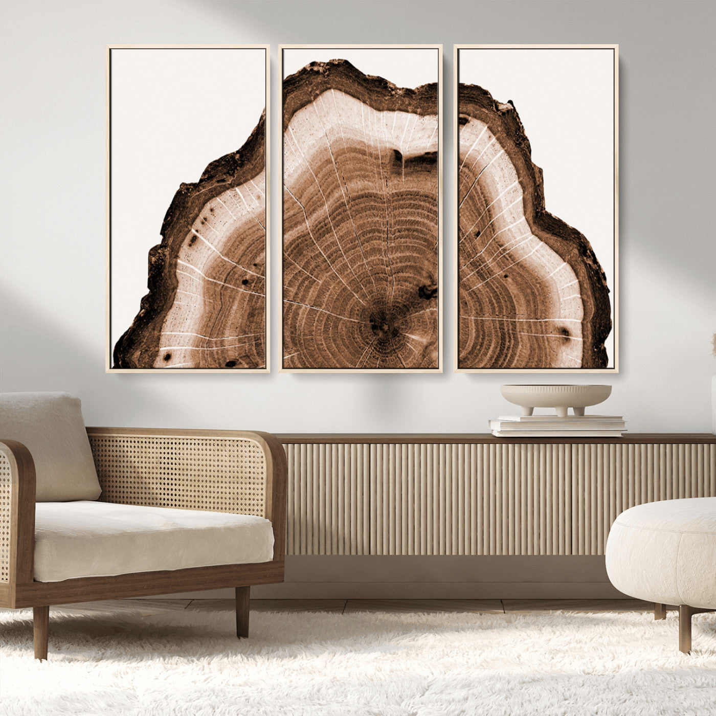 45195-MGV-FC-48X32-3P_Natural-Rustic Wood Rings Wall Art | Nature-Inspired Tree Ring Canvas Print | Ready to Hang and Framed for