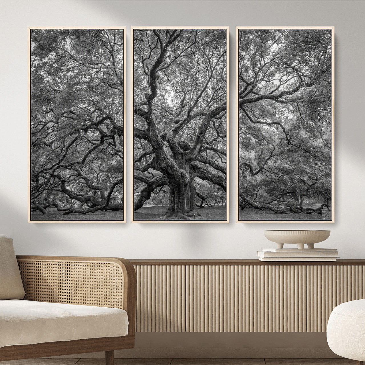 97240-MGV-CV-36X24 - Large Angel Oak Tree Black and White Canvas Print