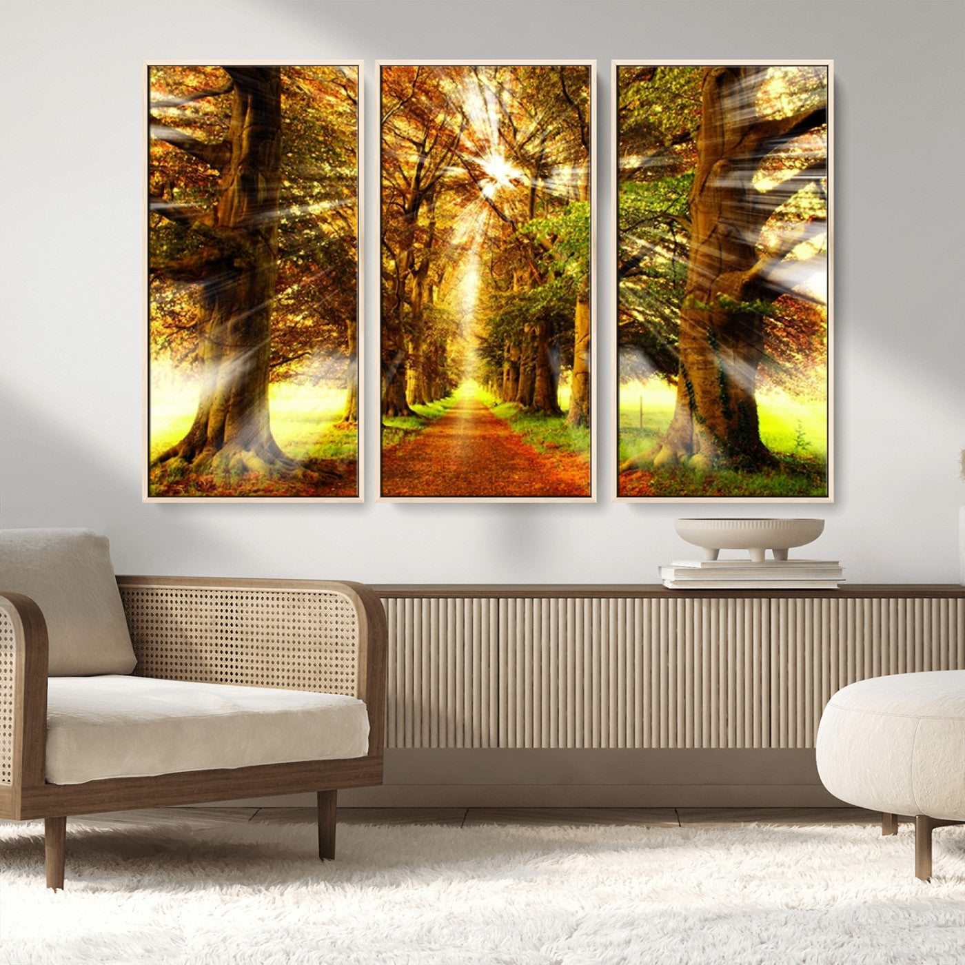 MGV-FC-48X32-3P - Sunshine in Forest and Trees Wall Art Canvas Print