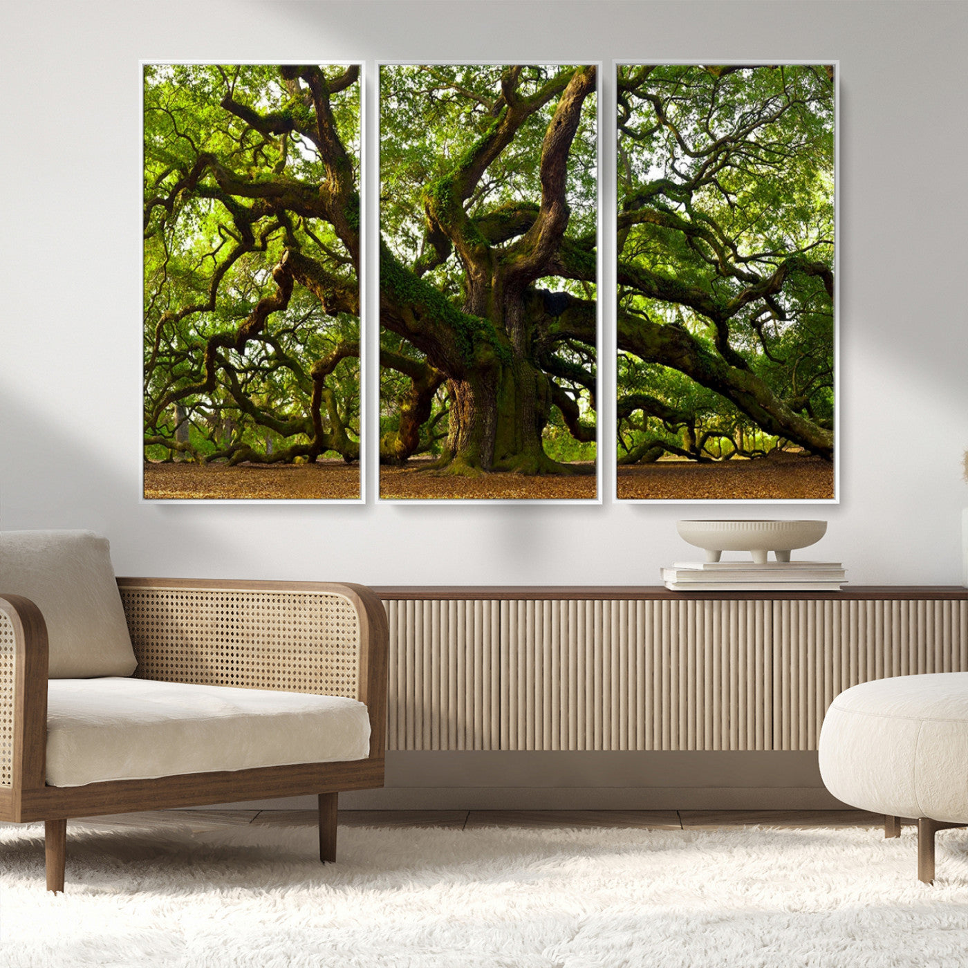 MGV-FC-48X32-3P - Angel Oak Tree Wall Art Canvas Print | Forest Tree Nature Photography Print on Canvas | Large Triptych Art for Living Room or Office Decor