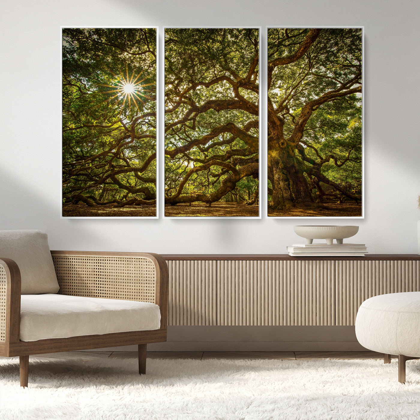 MGV-FC-48X32-3P - Ancient Angel Oak Tree Art Sunburst Canvas Print- Nature-Inspired Triptych Canvas Print, Framed, Ready to Hang