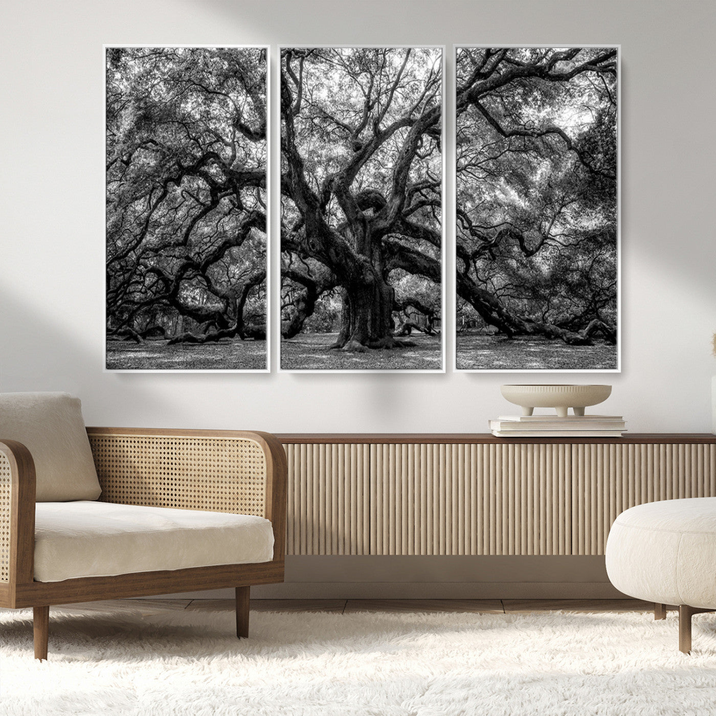 MGV-FC-48X32-3P - Black and White Old Angel Oak Tree Wall Art Canvas Print