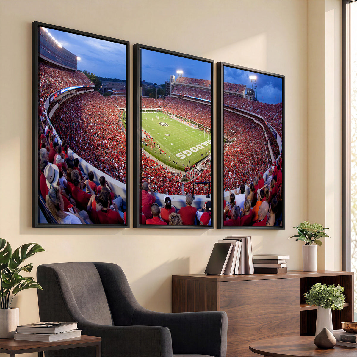 10244378-MGV-CV-36X24 - Dooley Stadium Wall Art, Sports Arena Canvas Print, Dooley Field, Home Bar Wall Decor