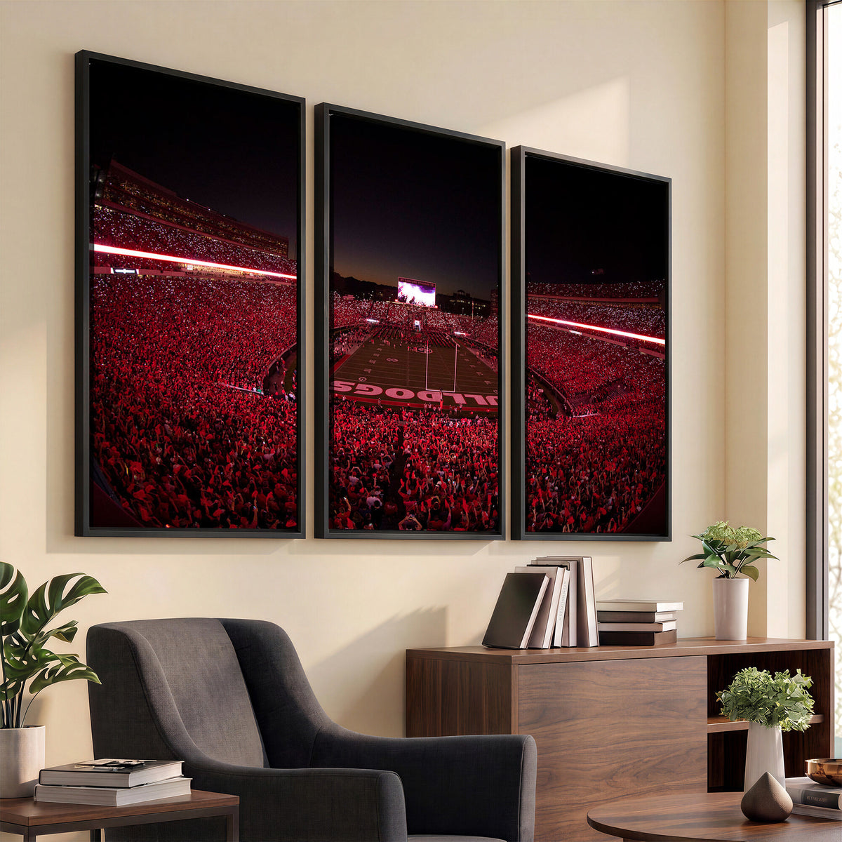 38331045-MGV-CV-36X24 - Dooley Stadium Wall Art, Sports Arena Canvas Print, Dooley Field Sanford Stadium
