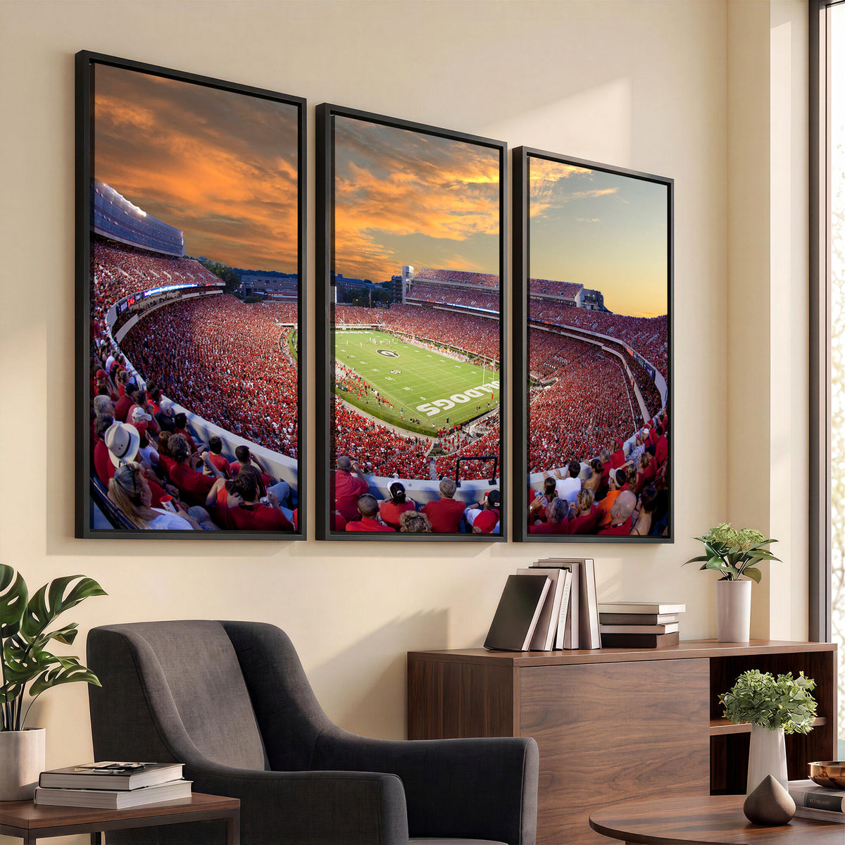 73680988-MGV-CV-36X24 - Dooley Stadium Wall Art, Sports Arena Canvas Print, Dooley Field, Framed and Ready to Hang