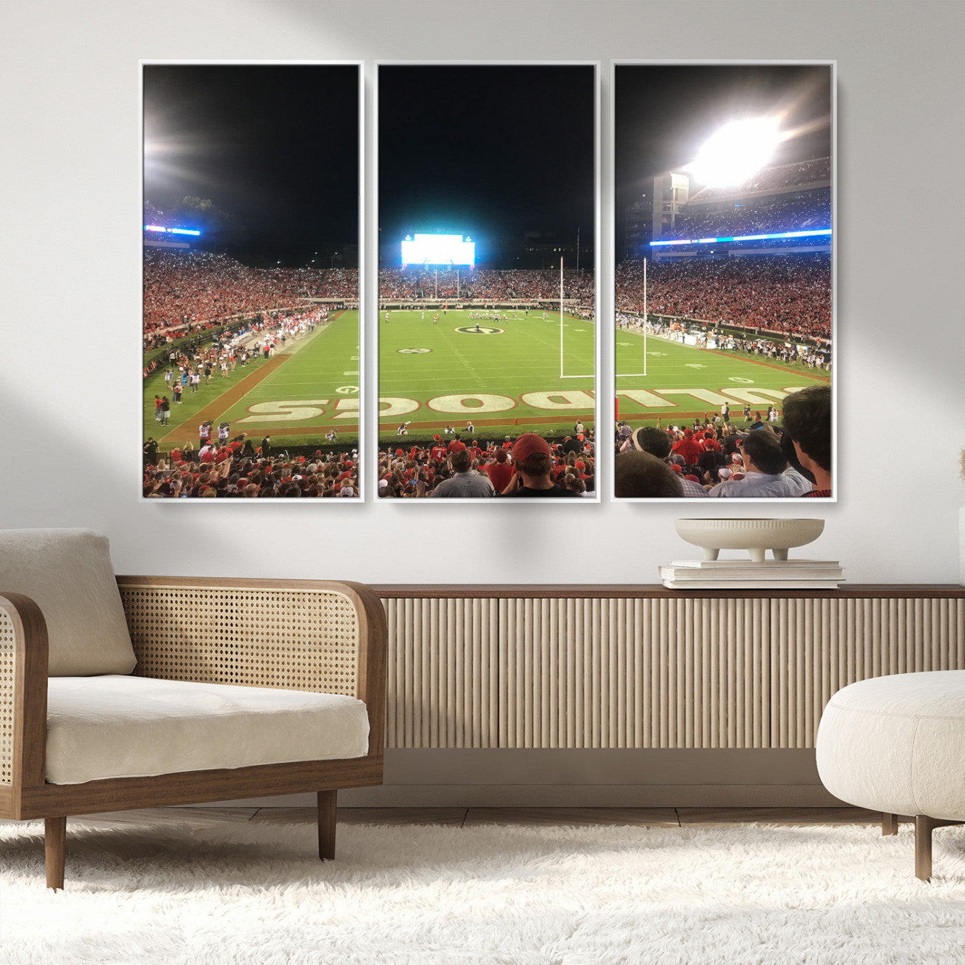 Dooley Stadium Wall Art Print, Sports Arena Canvas Wall Art, Panoramic Stadium Canvas Print, Modern Athletic Field Art Printing