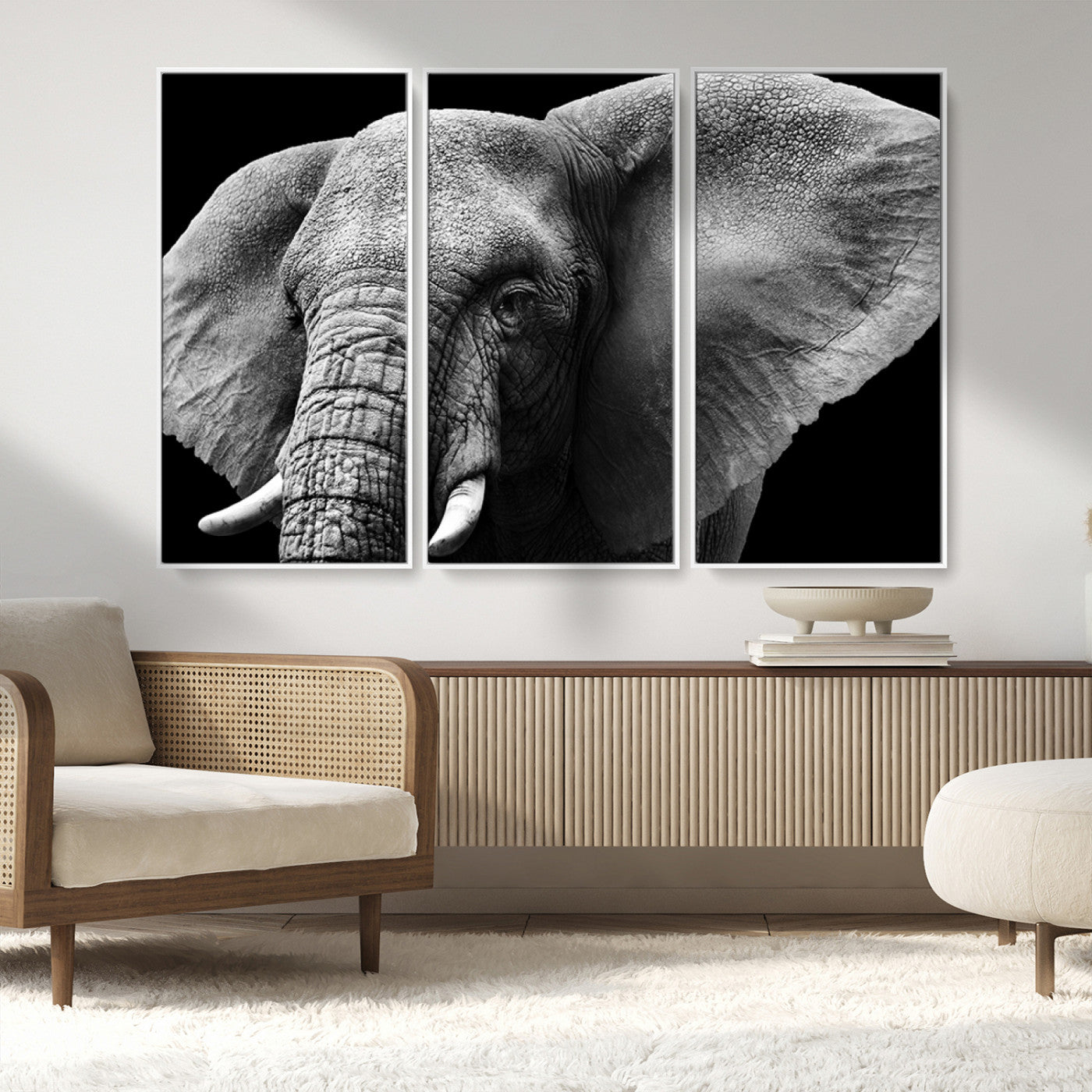 MGV-FC-48X32-3P - Big Elephant Close Up Wall Art Canvas Print