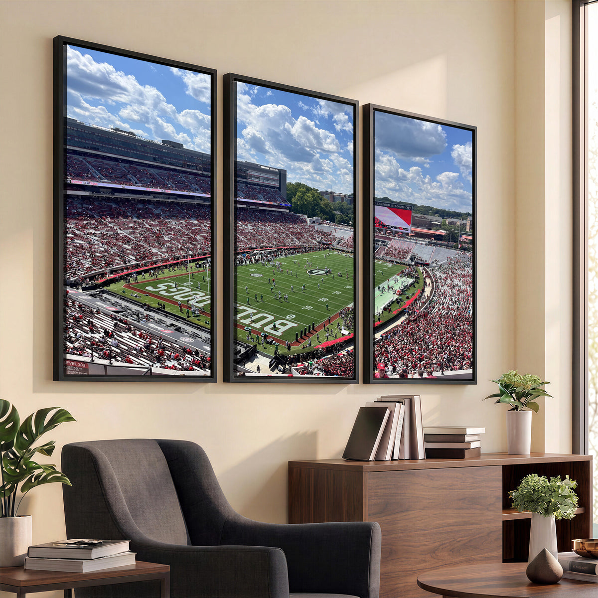 10665453-MGV-CV-36X24 - Georgia Bulldogs Stadium Wall Art Canvas Print, Sanford, Framed and Ready to Hang