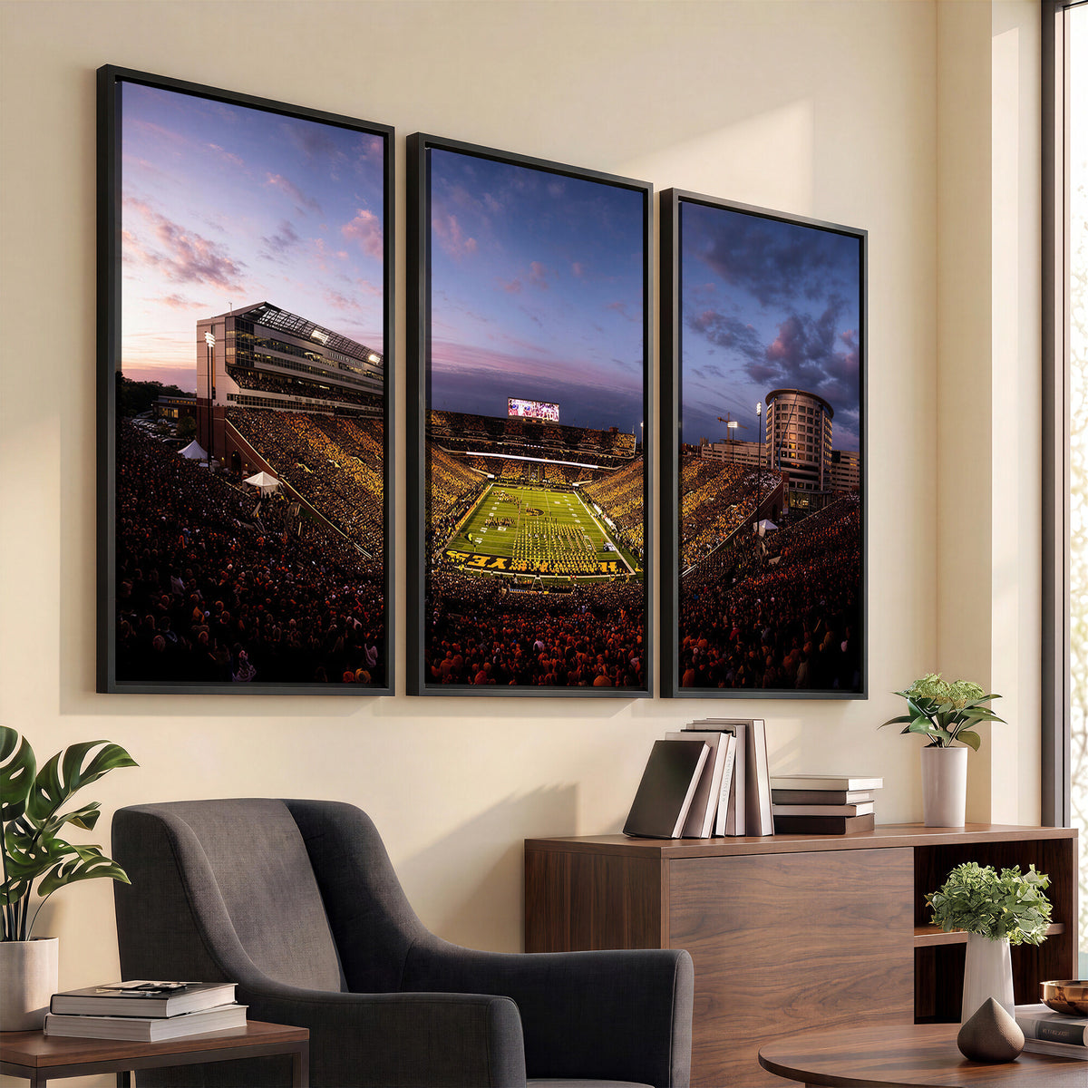 49683861-MGV-CV-36X24 - Stadium Wall Art Canvas Print