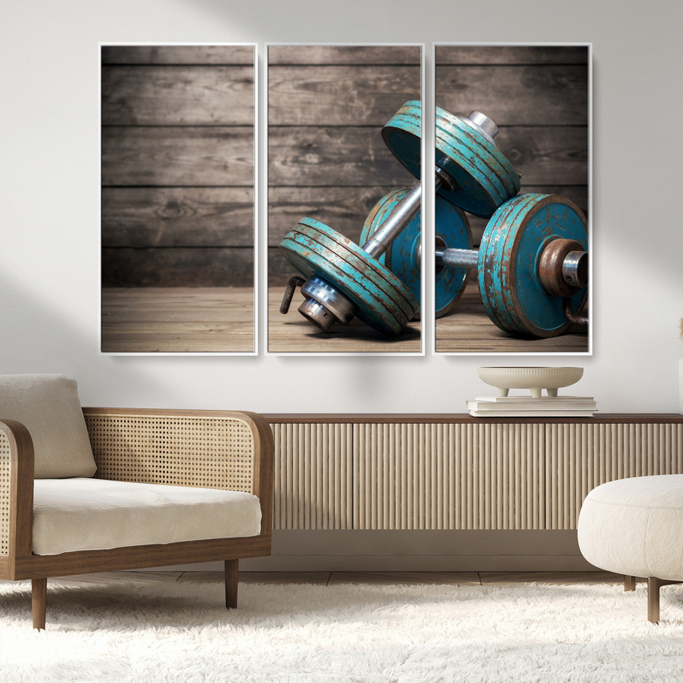 MGV-FC-48X32-3P - Dambell and Sport Wall Art Canvas Print