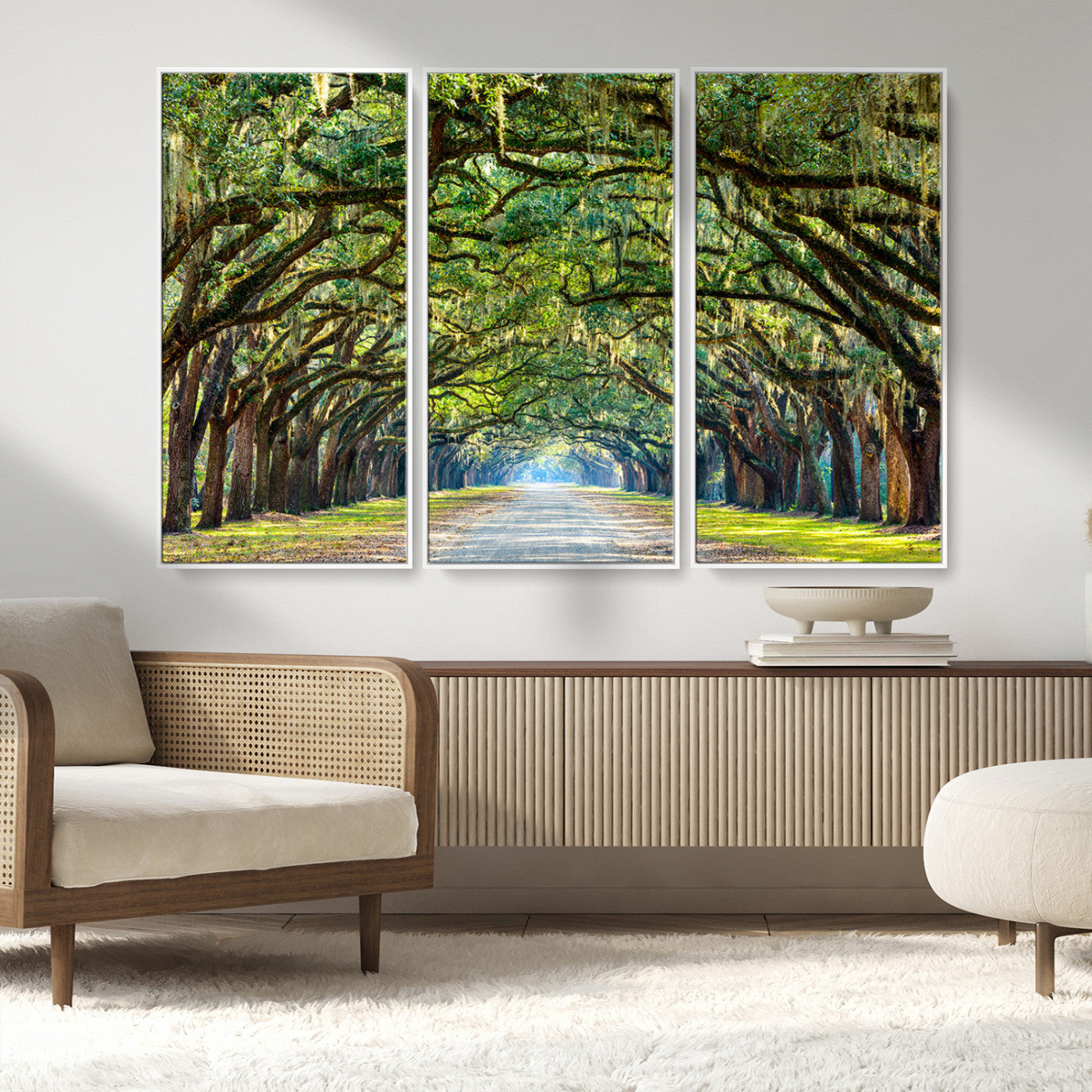 MGV-FC-48X32-3P - Wormsloe State Plantation Driveway Wall Art Canvas Print
