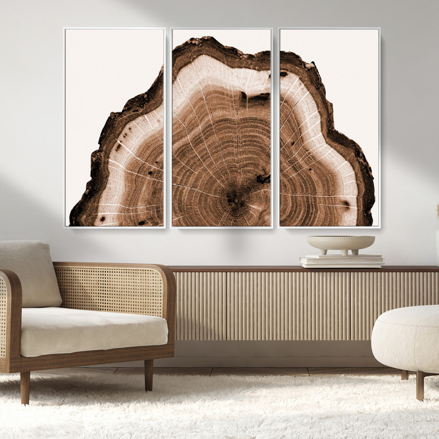 45195-MGV-FC-48X32-3P_White-Rustic Wood Rings Wall Art | Nature-Inspired Tree Ring Canvas Print | Ready to Hang and Framed for