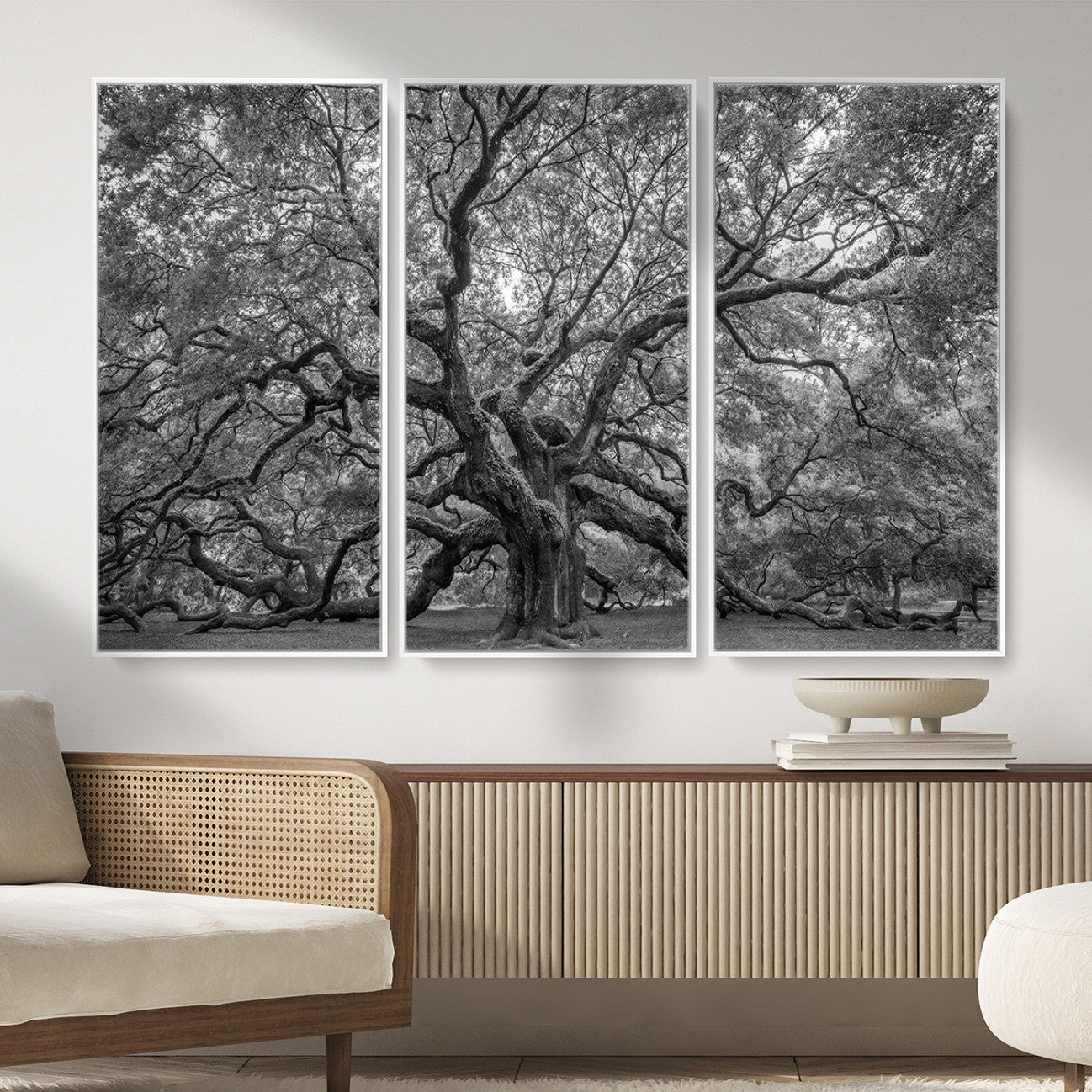 97240-MGV-CV-36X24 - Large Angel Oak Tree Black and White Canvas Print