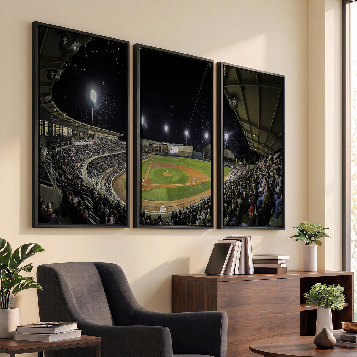 10262-MGV-CV-36X24 - Olsen Field at Blue Bell Park - Texas A&M Aggies Baseball Stadium Wall Art Canvas Print
