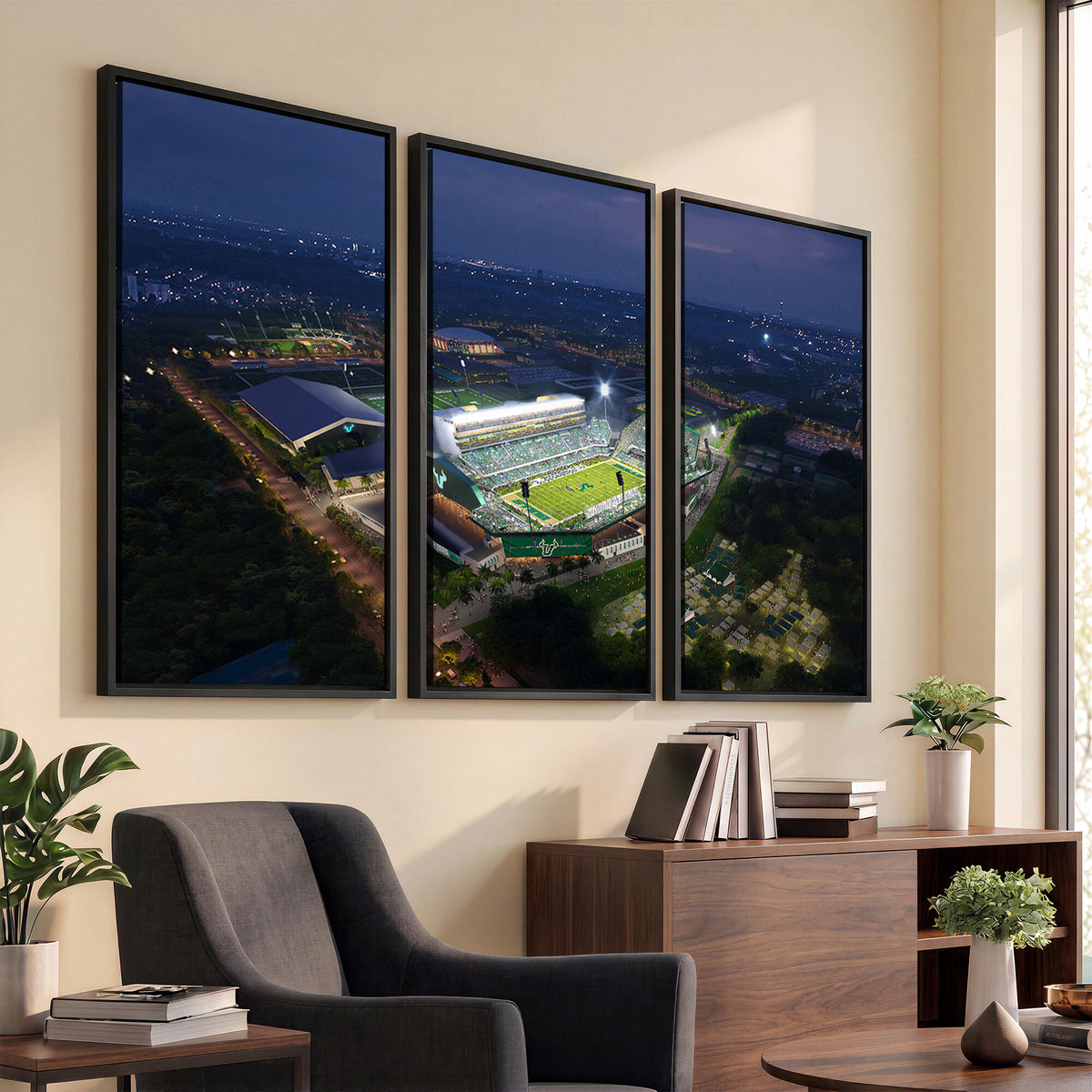 27554-MGV-CV-36X24 - The University of South Florida Bulls Football Team Print