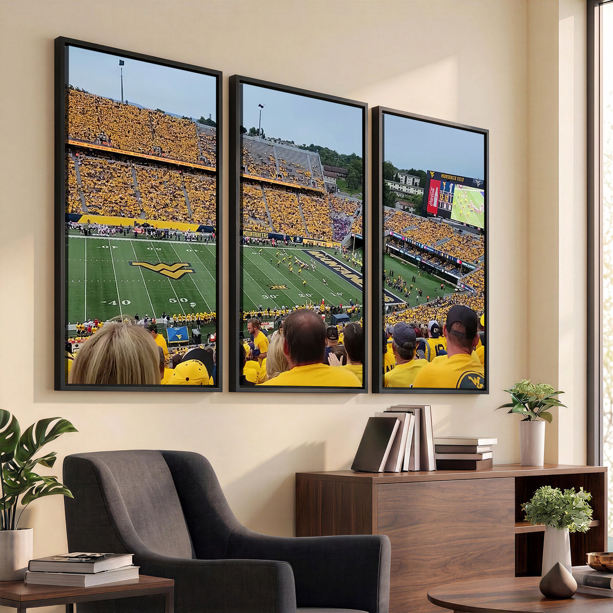 18056-MGV-CV-36X24 - Puskar Stadium Canvas Print Wall Art, Morgantown Print