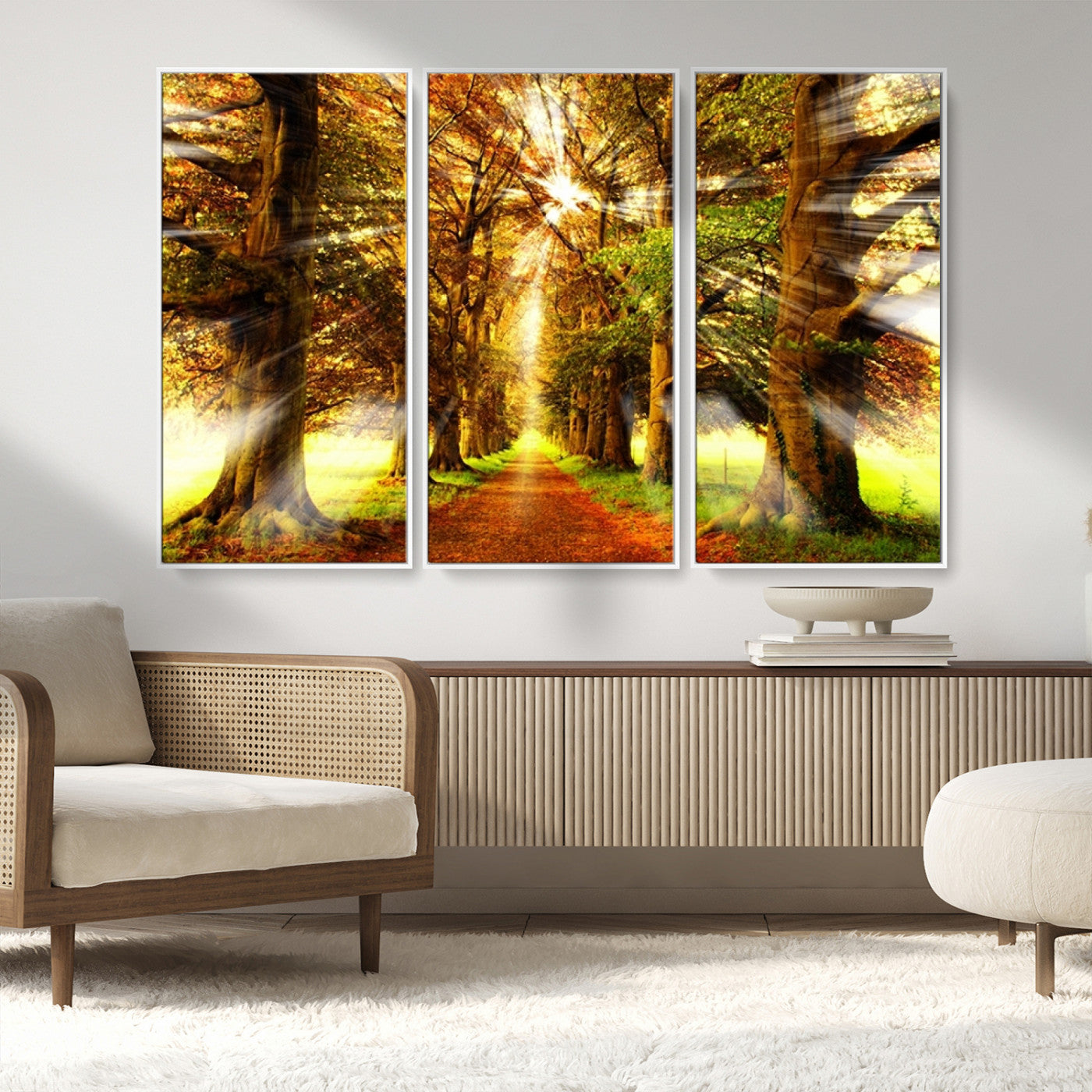 MGV-FC-48X32-3P - Sunshine in Forest and Trees Wall Art Canvas Print