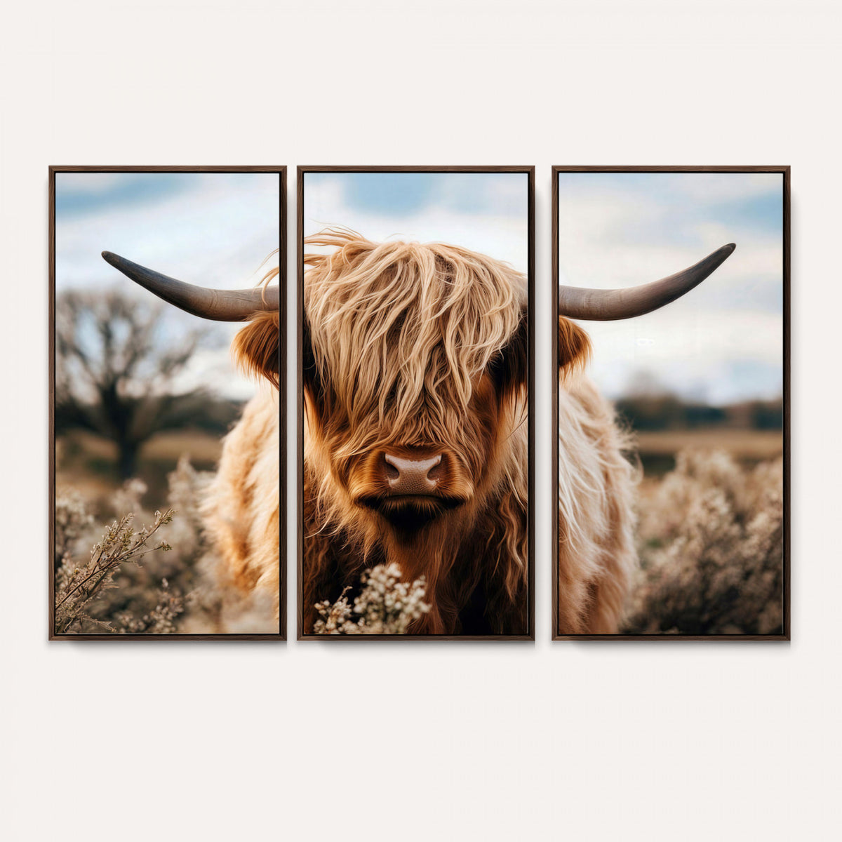 55903-_Poster-30x20 - Scottish Cow Longhorn Wall Art Canvas Print