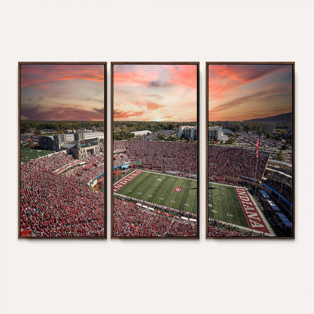 Indiana Memorial Stadium Wall Art Canvas Print
