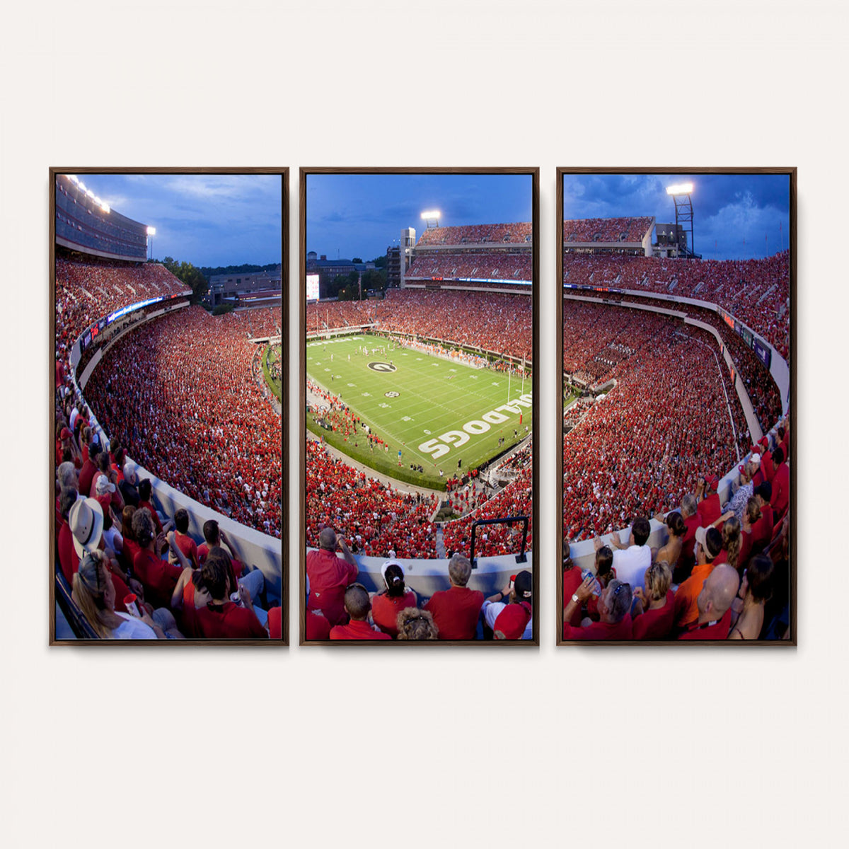 10244378-MGV-CV-36X24 - Dooley Stadium Wall Art, Sports Arena Canvas Print, Dooley Field, Home Bar Wall Decor