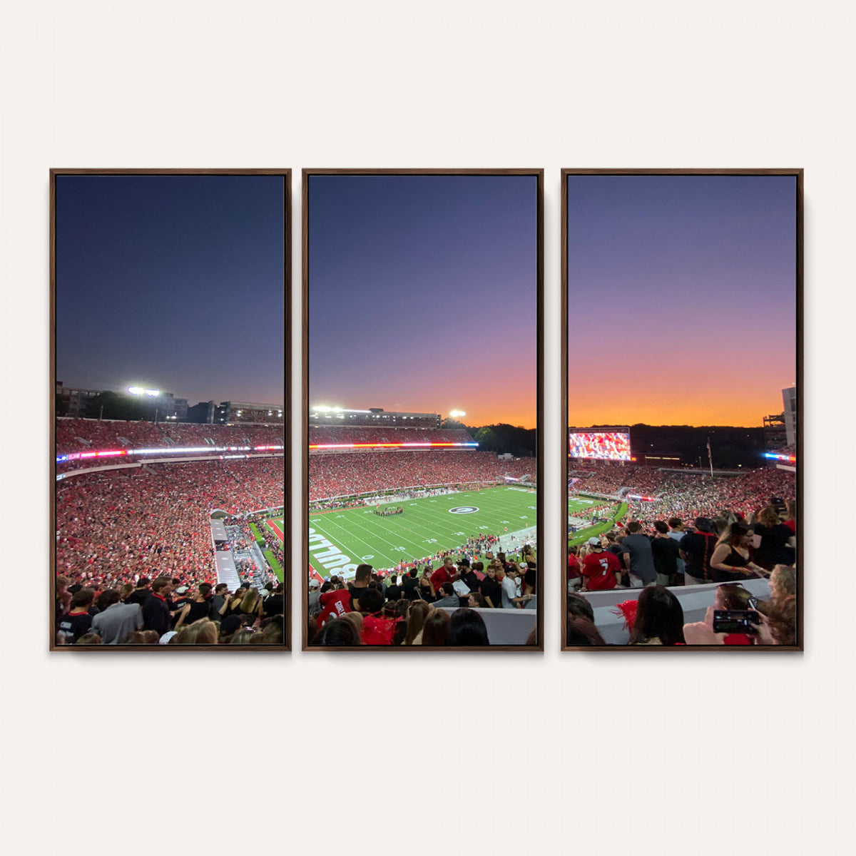 25139565-MGV-CV-36X24 - Dooley Stadium Wall Art, Sports Arena Canvas Print, Dooley Field Sanford Stadium Canvas Artwork for Home, Office
