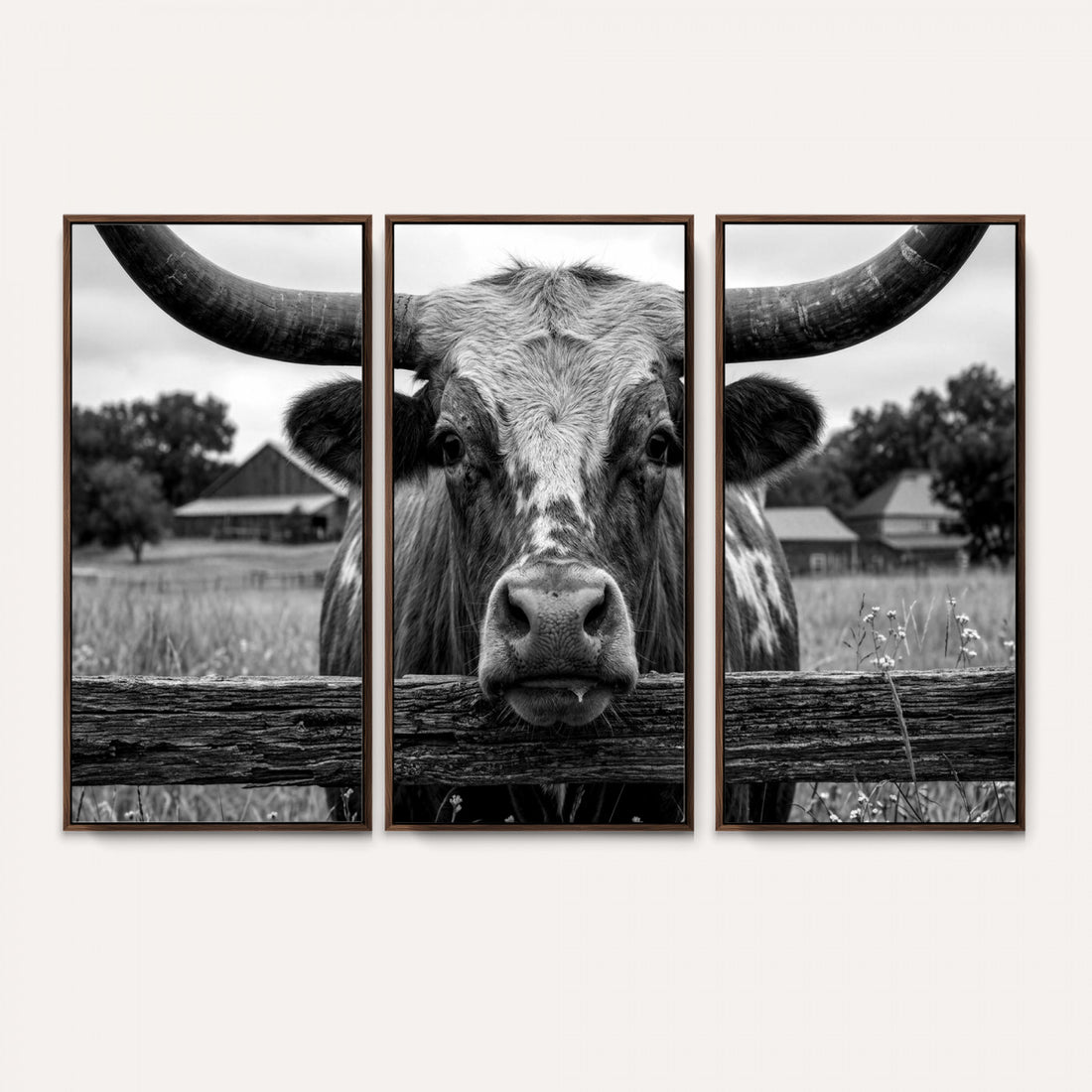 Black White Texas Longhorn Bull Canvas Wall Art, Western Ranch Cattle Photo Print