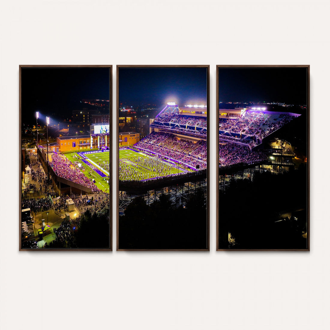 JMU Stadium Wall Art Canvas Print for Game Room Decor, James Madison