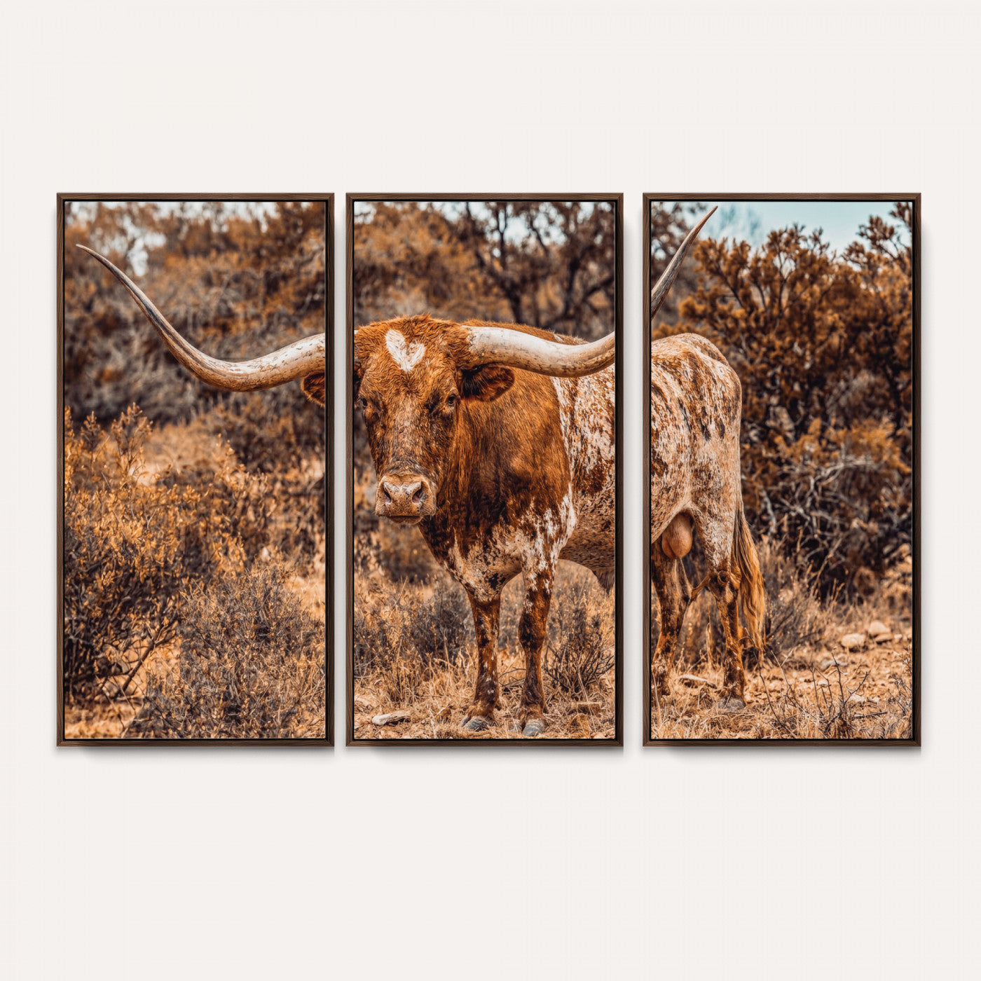 62076449-MGV-CV-36X24 - Texas Cow Bull Longhorn Print for Western Wall Art Decor for Farmhouse