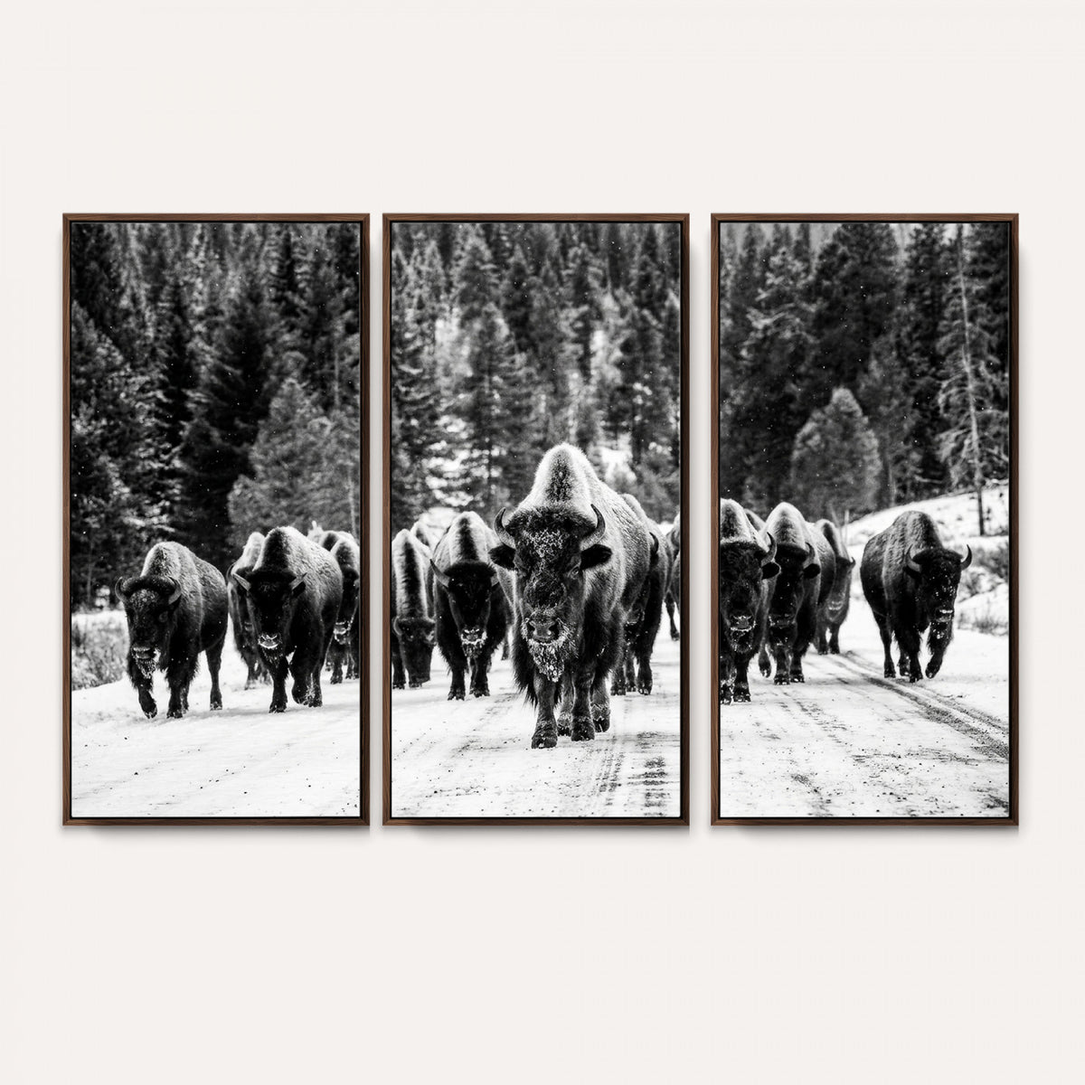 79337077-MGV-CV-36X24 - Black and White Bison Canvas Art, American Buffalo Print, Winter Wildlife Photography, Rustic Forest Wall Decor, Large Statement Nature Gift