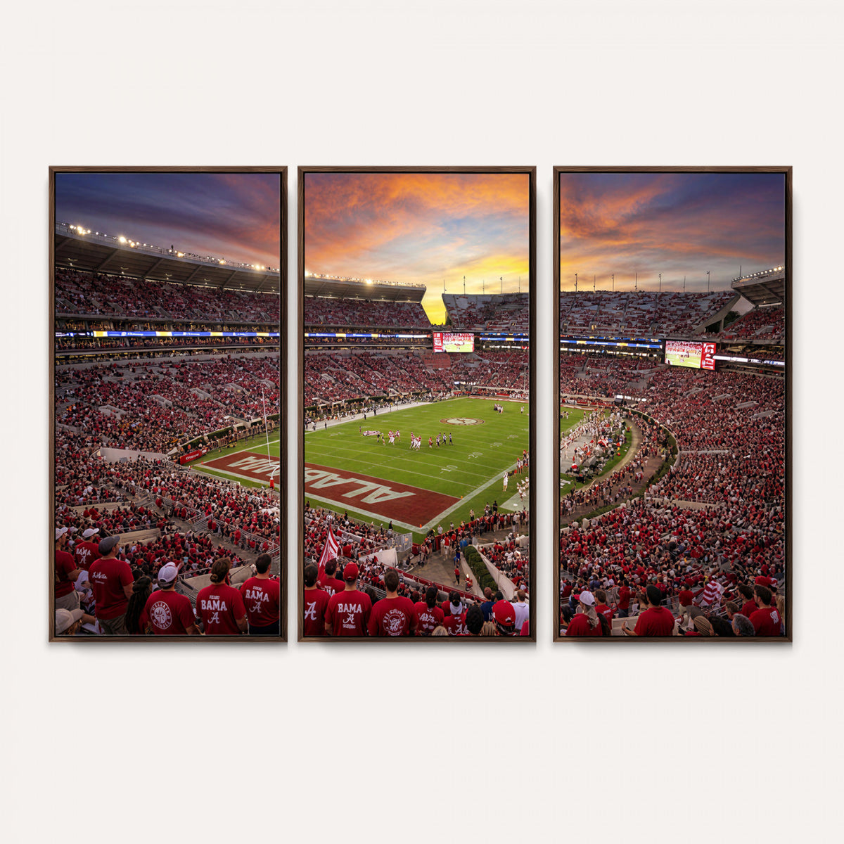 41995919-MGV-CV-36X24 - Stadium Wall Art Canvas Print