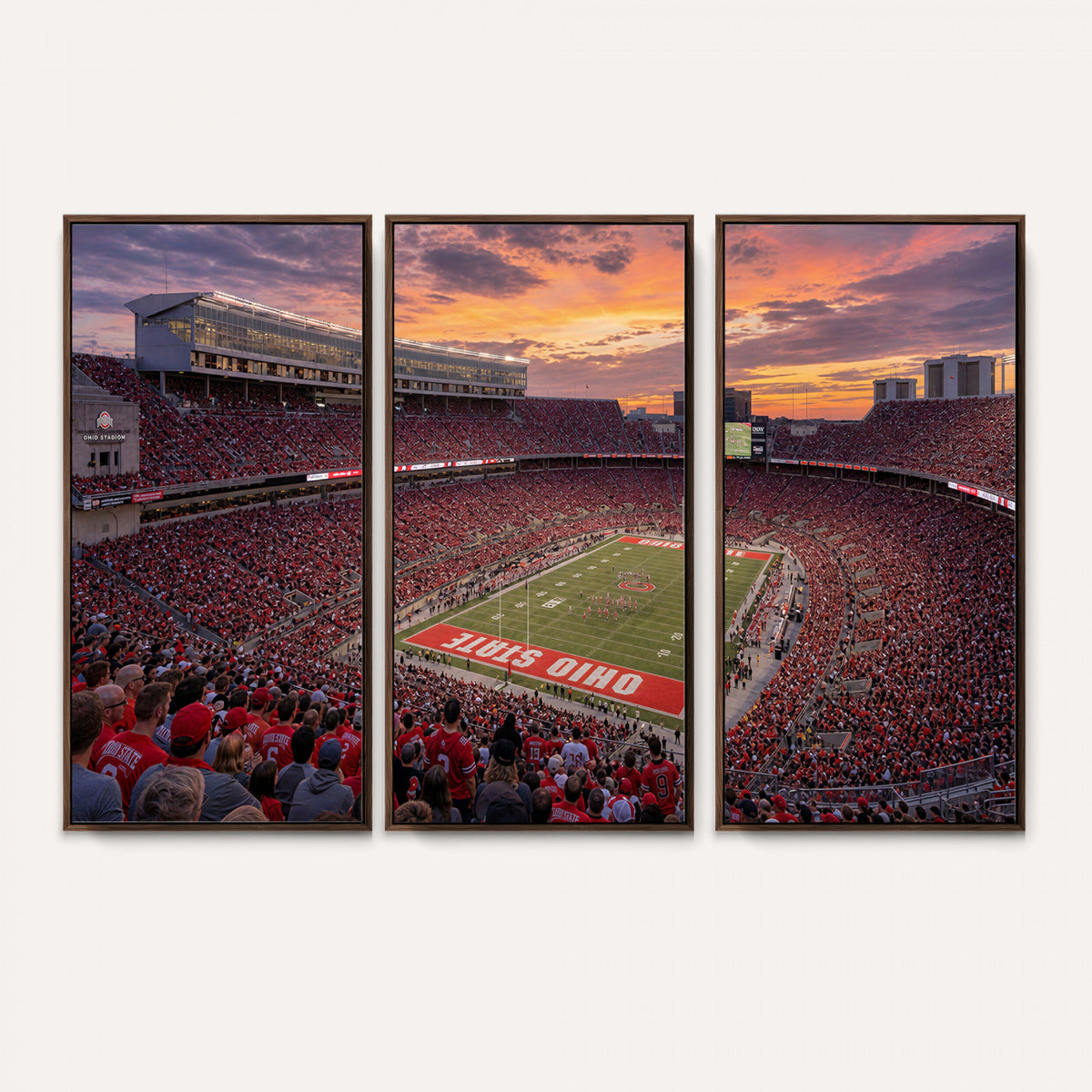 95137596-MGV-CV-36X24 - Stadium Wall Art Canvas Print