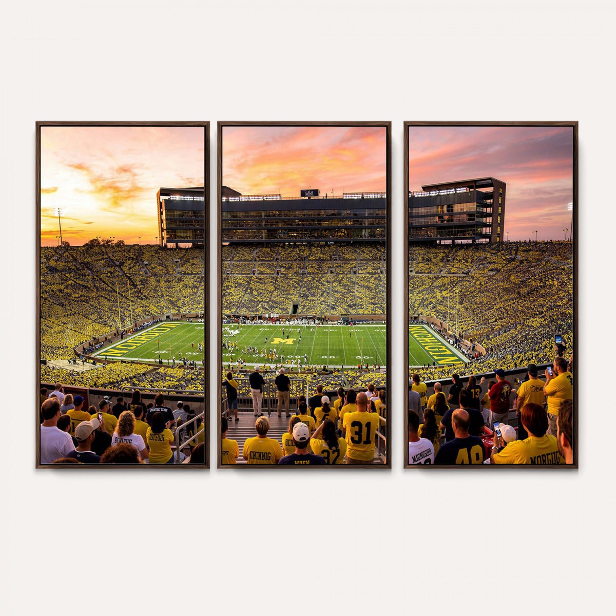 27265223-MGV-CV-36X24 - Stadium Wall Art Canvas Print