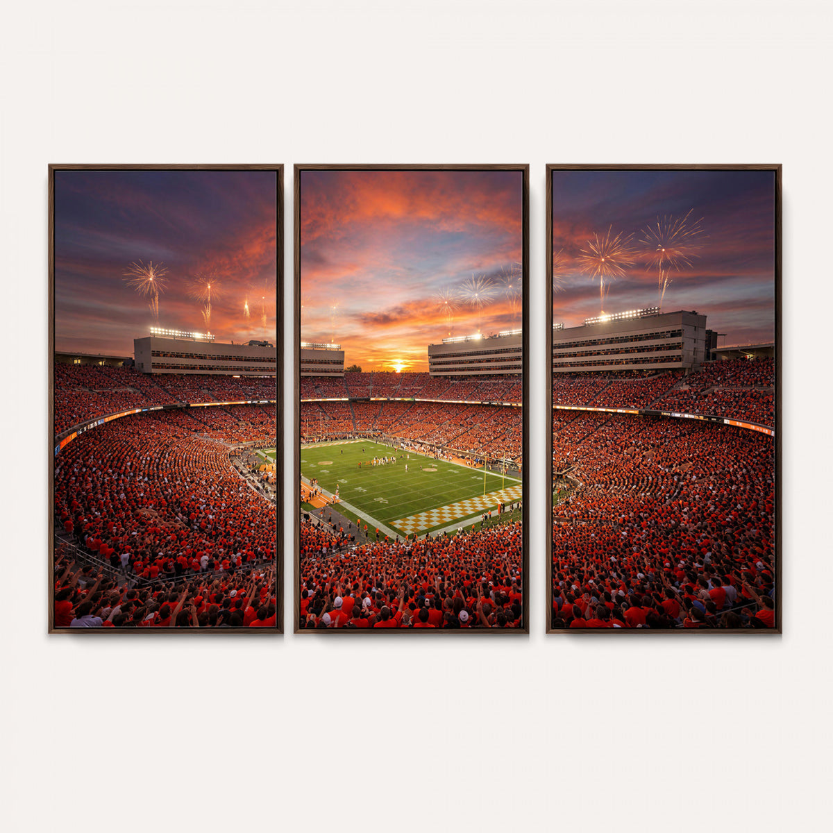 66964685-MGV-CV-36X24 - Stadium Wall Art Canvas Print