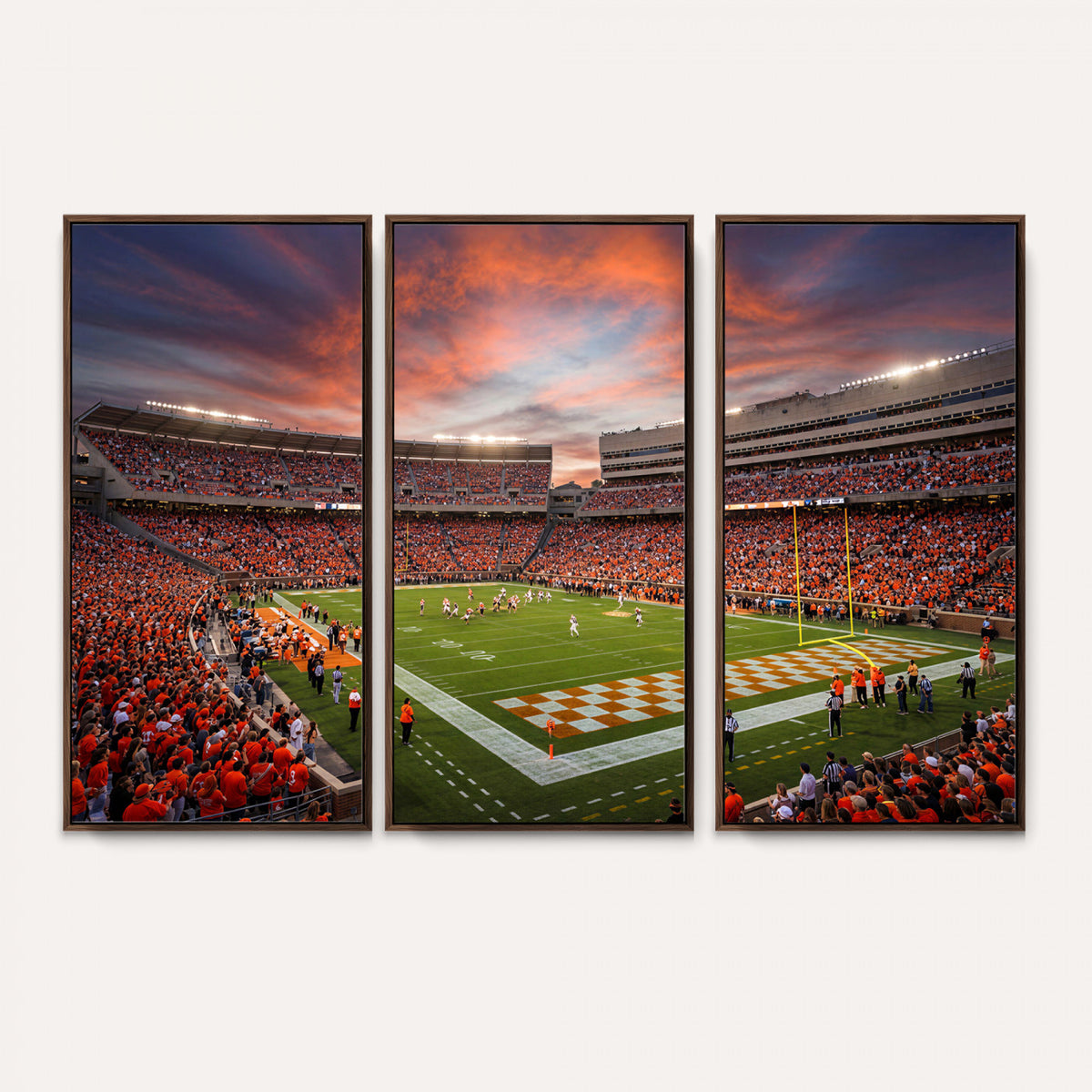 67648335-MGV-CV-36X24 - Stadium Wall Art Canvas Print