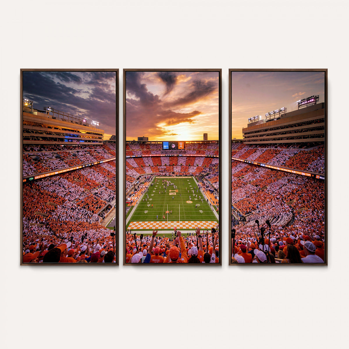 68184875-MGV-CV-36X24 - Stadium Wall Art Canvas Print