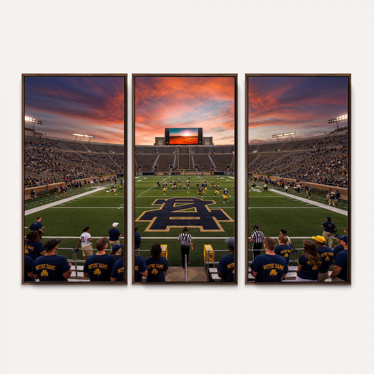 75411323-MGV-CV-36X24 - Stadium Wall Art Canvas Print