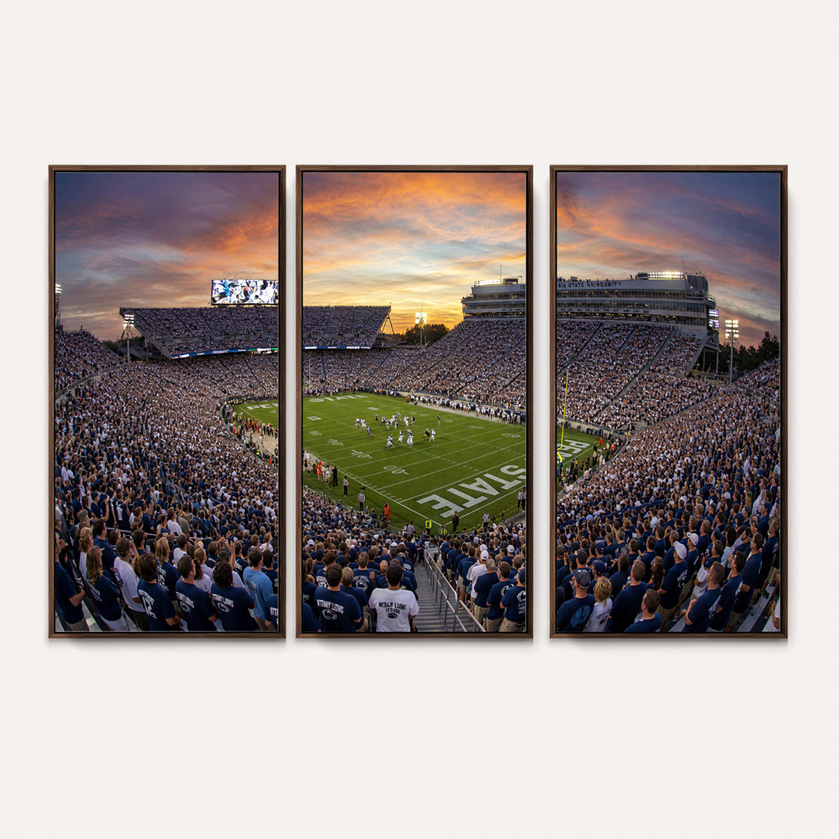 29008668-MGV-CV-36X24 - Stadium Wall Art Canvas Print