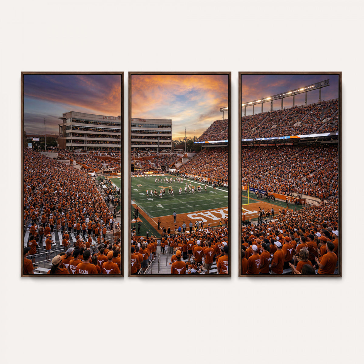 23560699-MGV-CV-36X24 - Stadium Wall Art Canvas Print