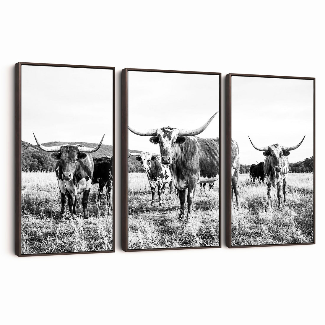 Black and White Longhorn Cattle Canvas Print, Western Ranch Wall Decor
