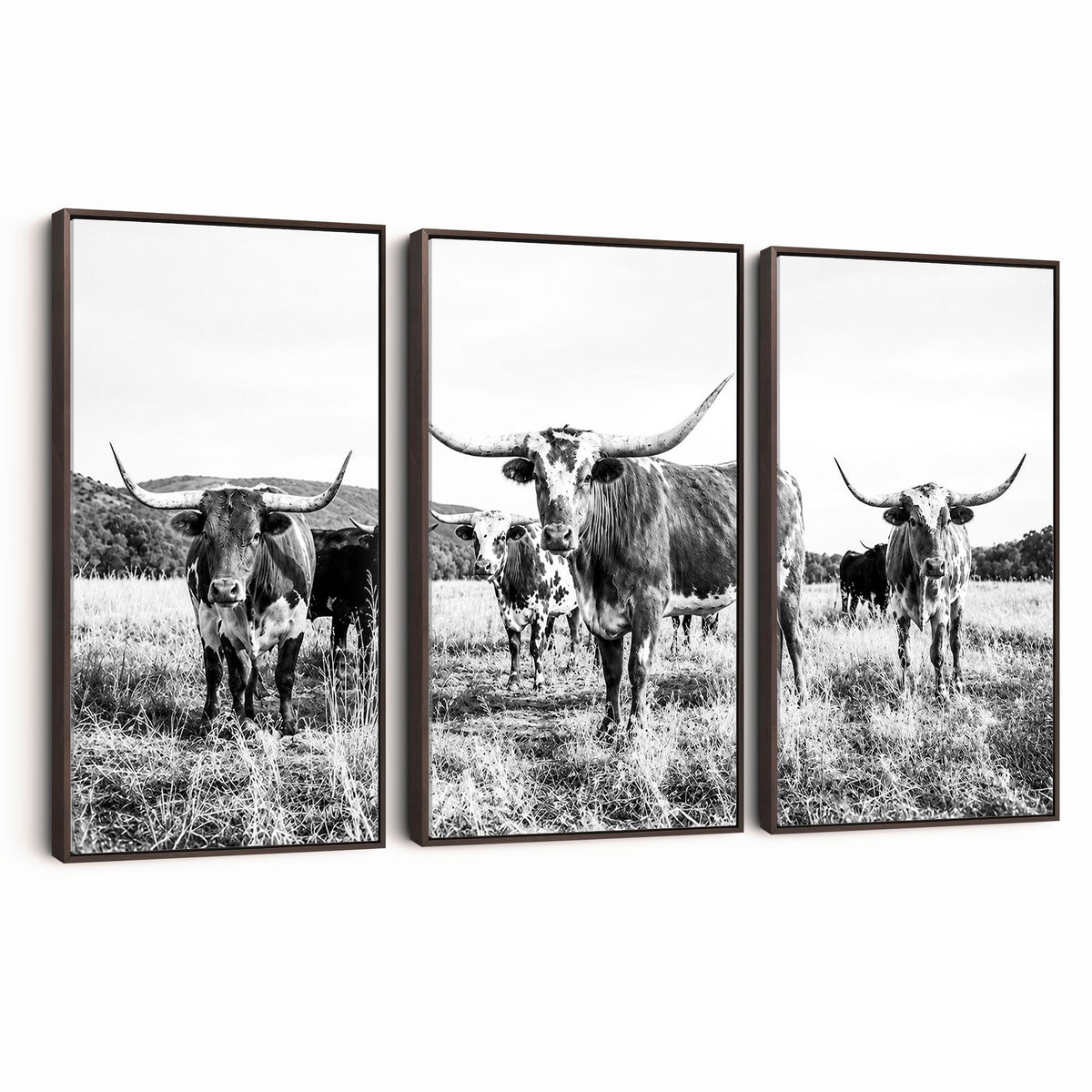 73228277-MGV-CV-48X32-3P - Black and White Longhorn Cattle Canvas Print, Western Ranch Wall Decor