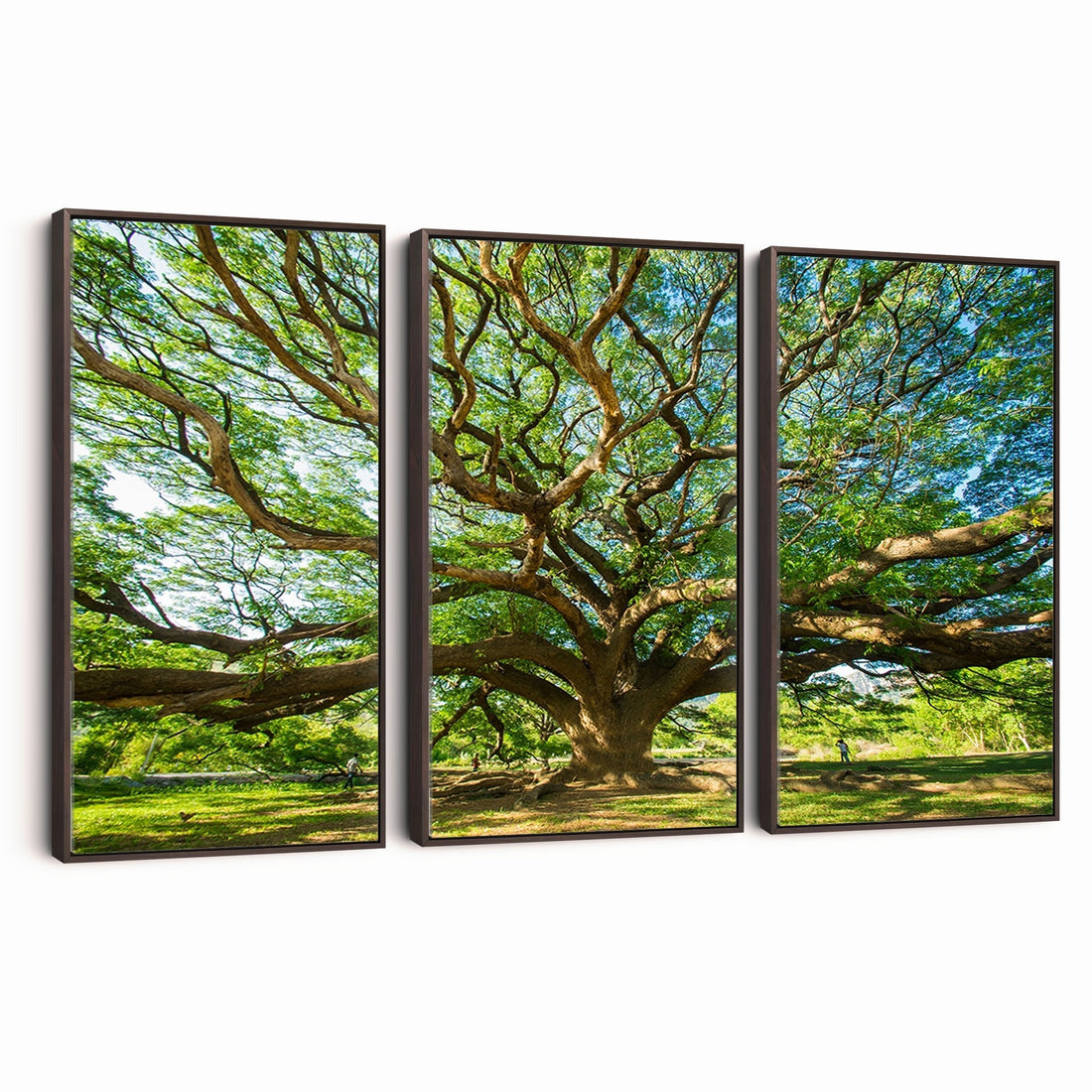 Majestic Oak Tree Wall Art | Serene Nature Canvas Print with Spreading Branches
