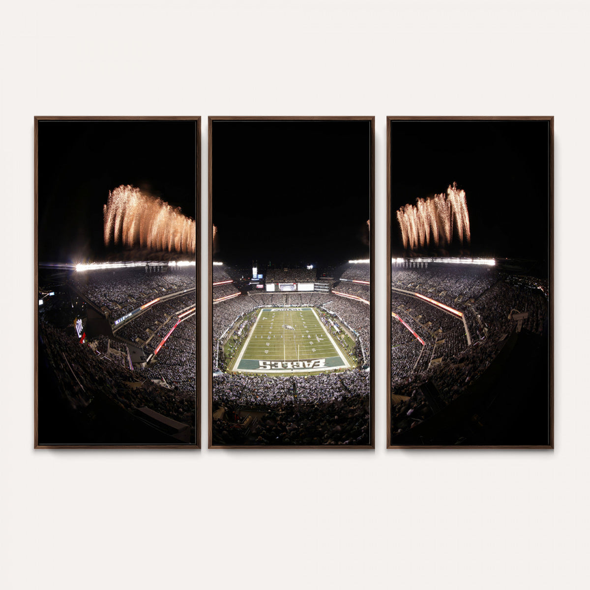 48893-MGV-CV-36X24 - Eagles Field Stadium Wall Art, Lincoln Financial Field
