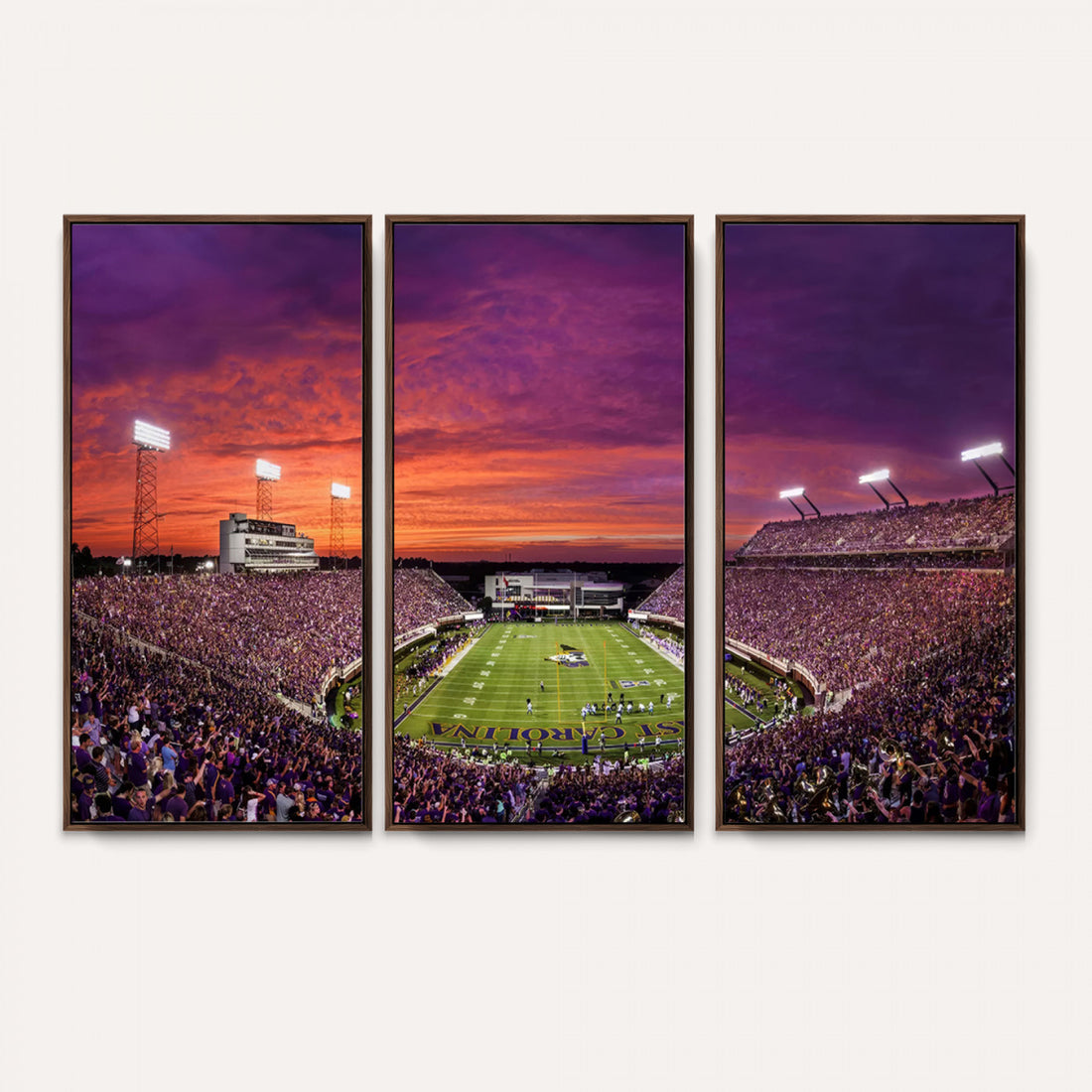 East Carolina University Pirates Football Print Canvas