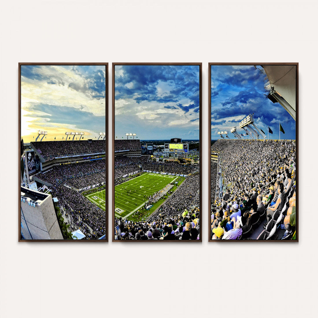 Framed USF Bulls Football Team Print, Tampa Raymond James Stadium