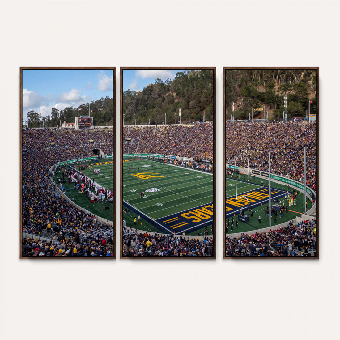 University of California Golden Bears Football Team Print