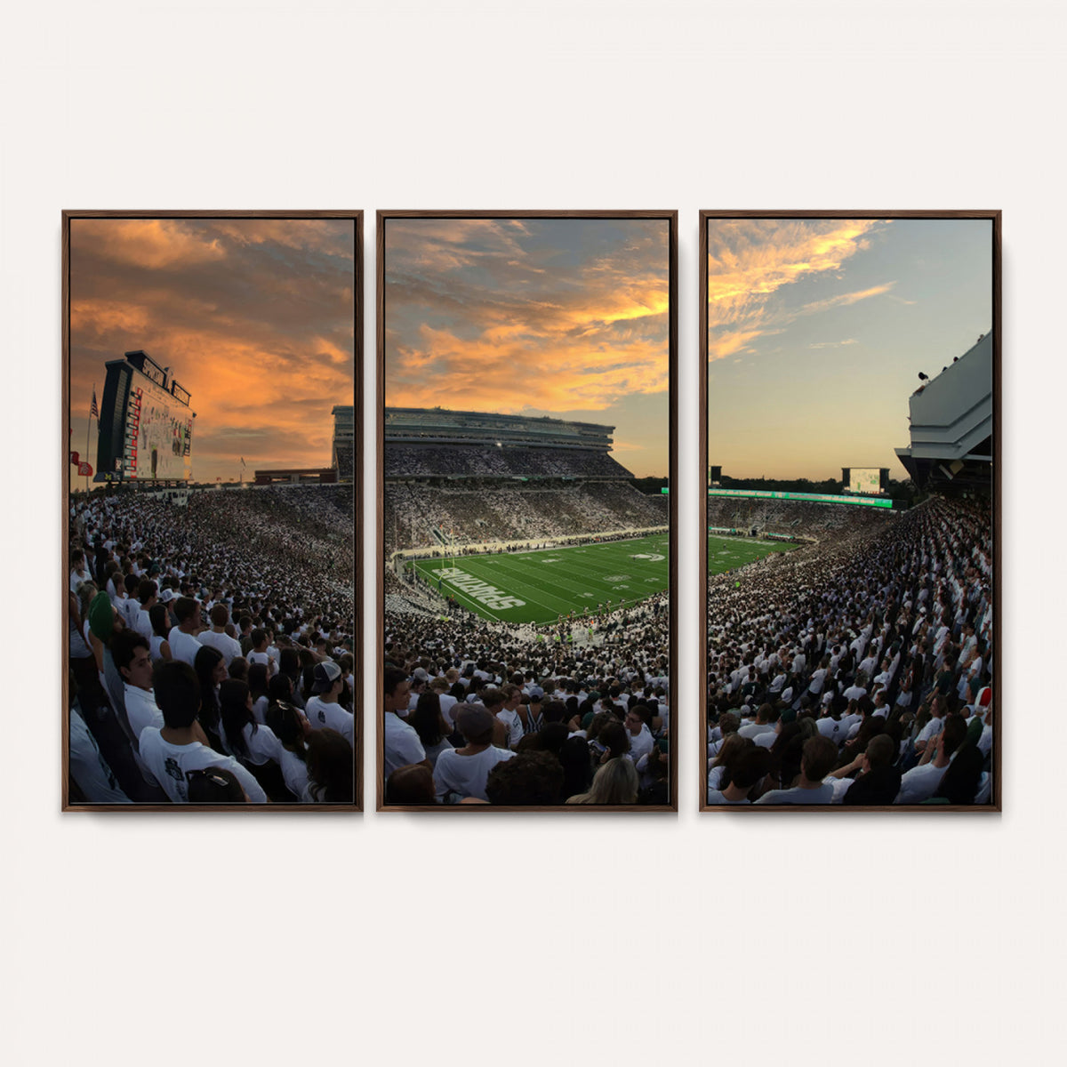 99155-PAN-FL-20X10 - Michigan State Spartans Football Team Print - East Lansing Spartan Stadium Wall Art Canvas Print