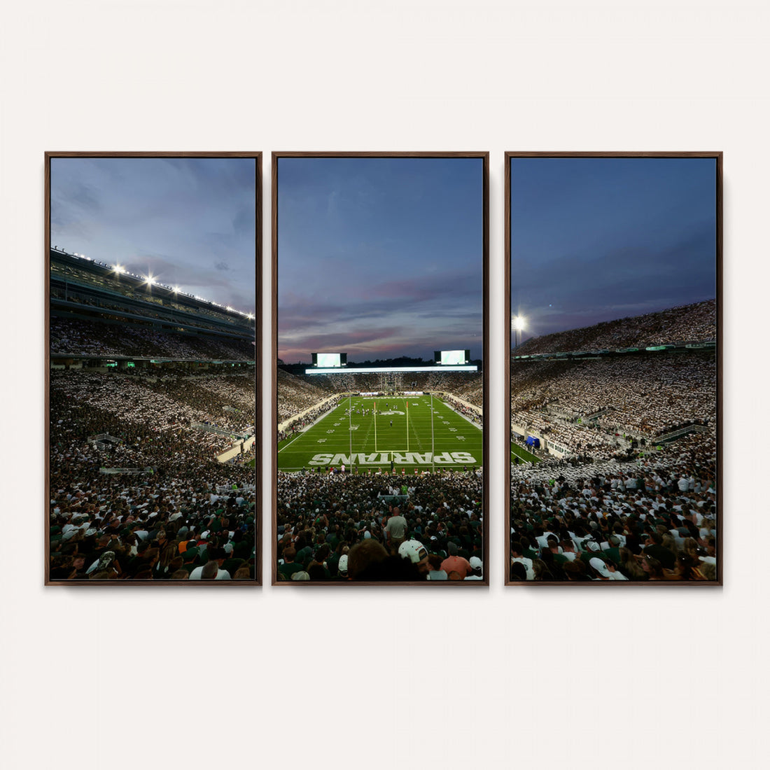 Michigan State Spartans Football Team Print, East Lansing