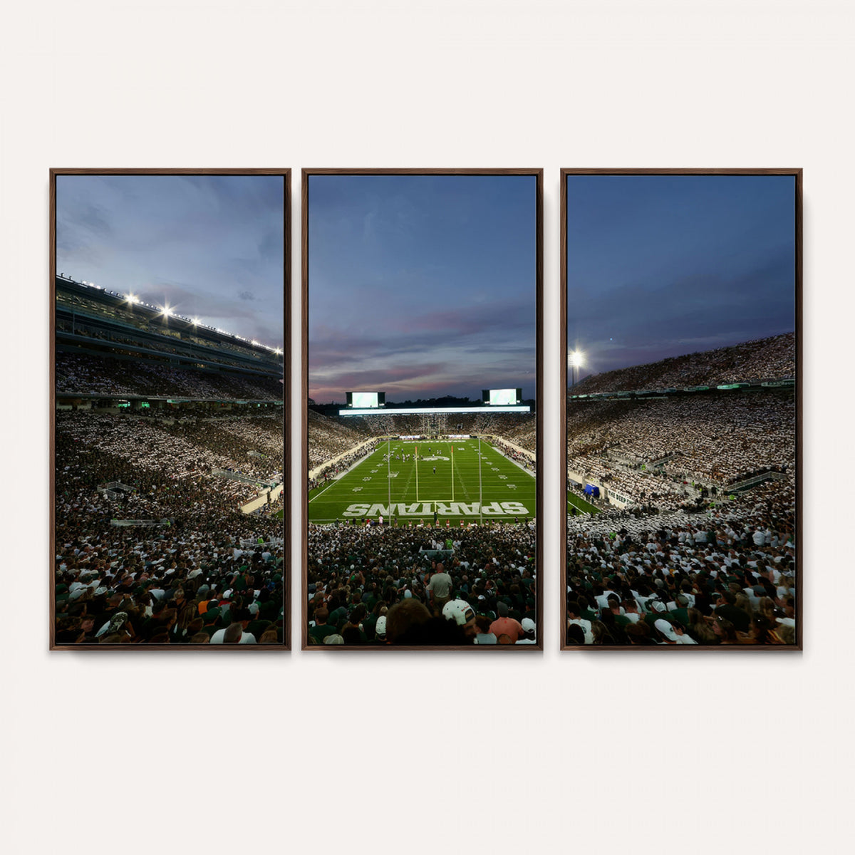90831-PAN-FL-20X10 - Michigan State Spartans Football Team Print - East Lansing Spartan Stadium Canvas Print