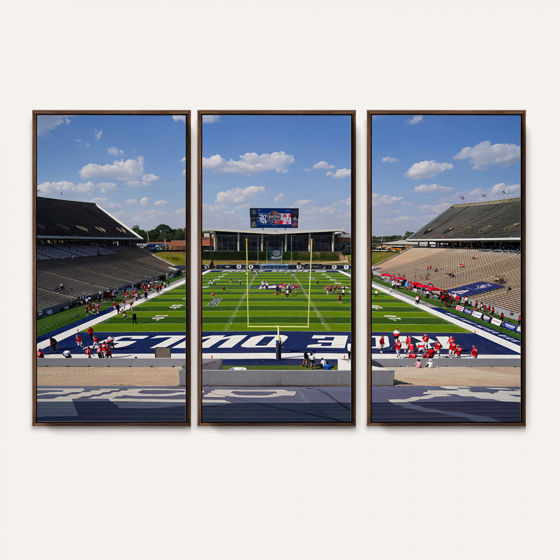 Rice University Owls Football Team Print, Houston Rice Stadium